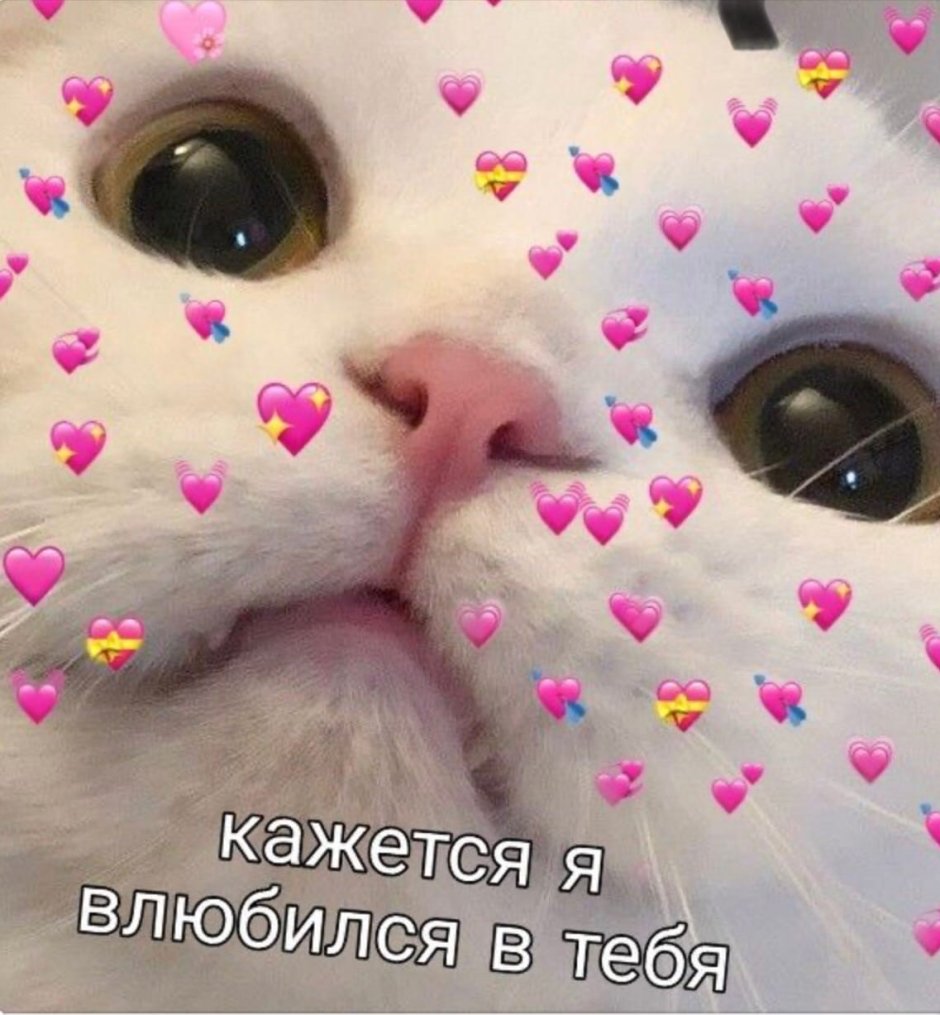 Милый котик с надписью