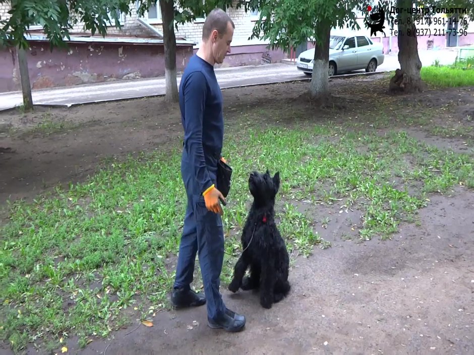 Ризен и цверг
