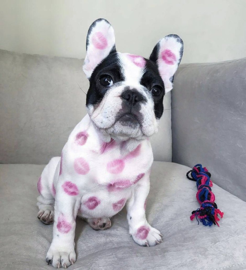 Ебалай картинки