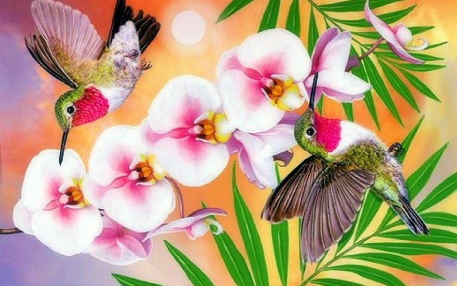 Природа птицы бабочки