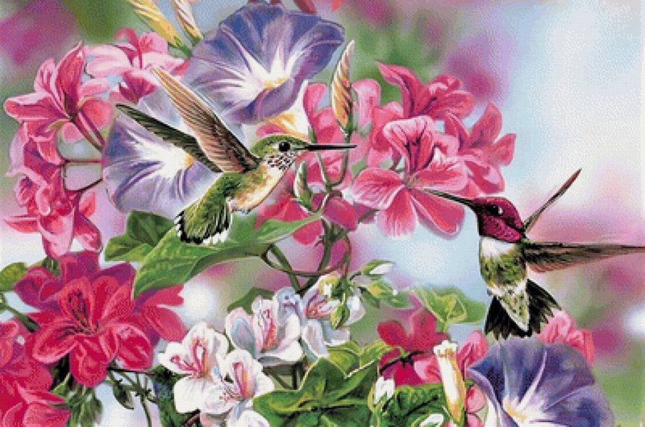 Цветы и птицы