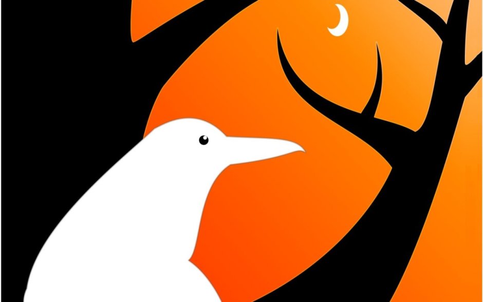 Андский скальный петушок