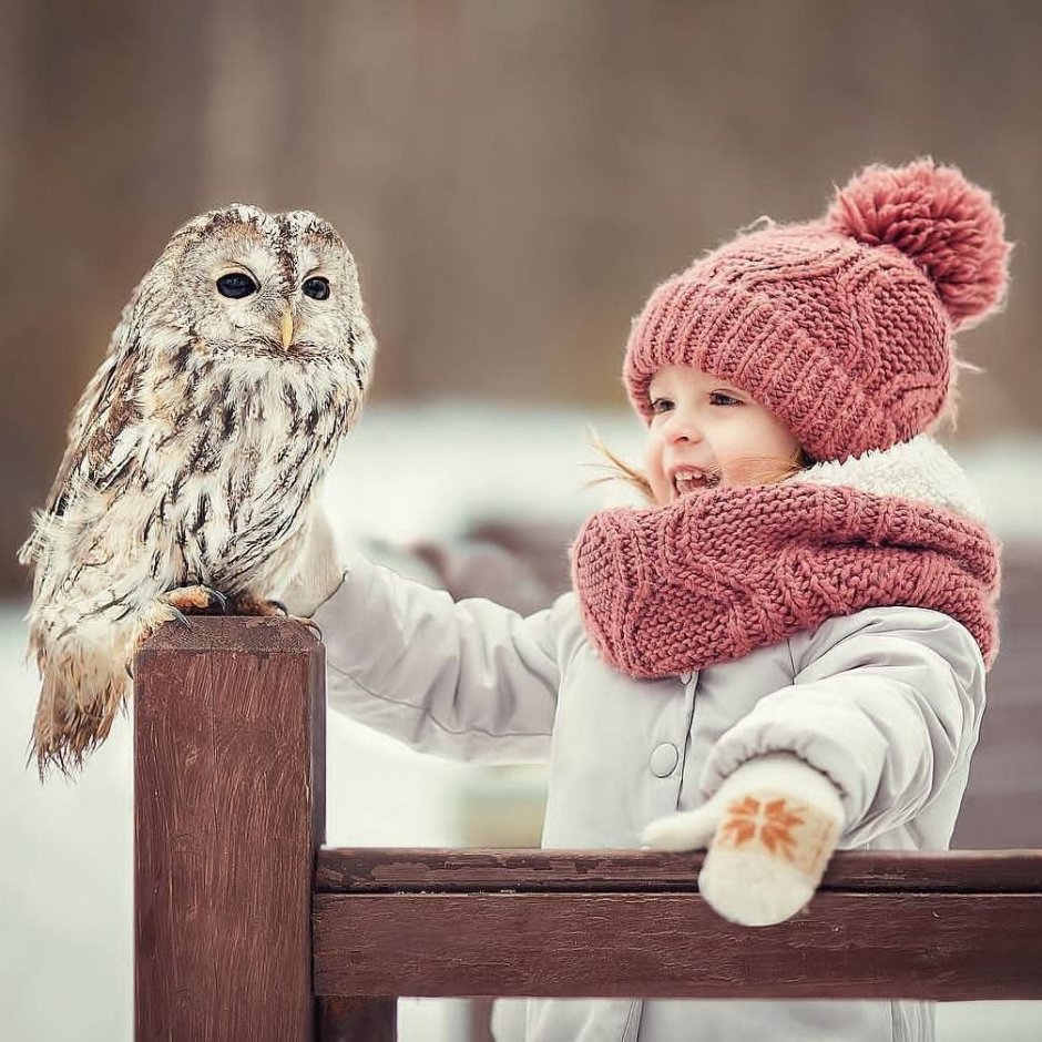 Сова кроличий Сыч