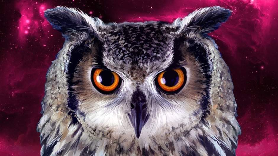 Забавное животное