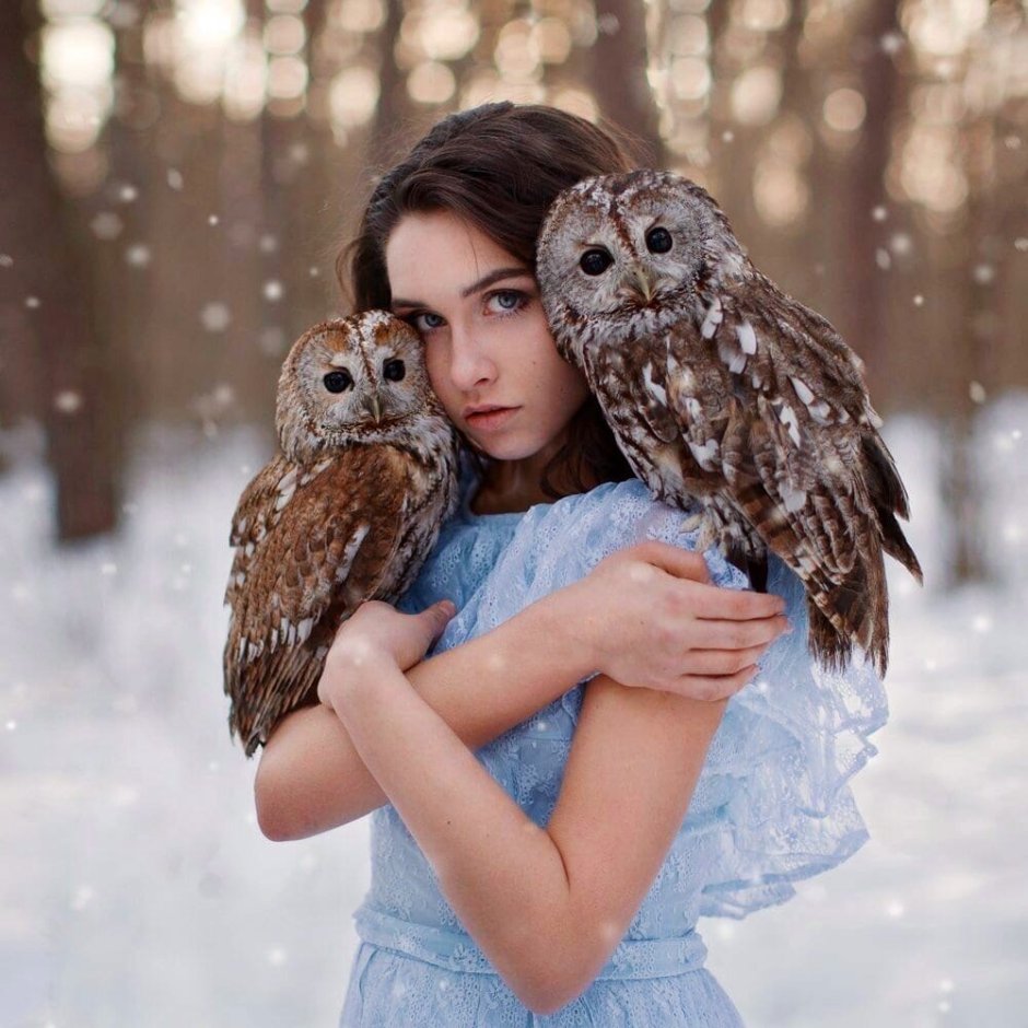 2 Совы рядом