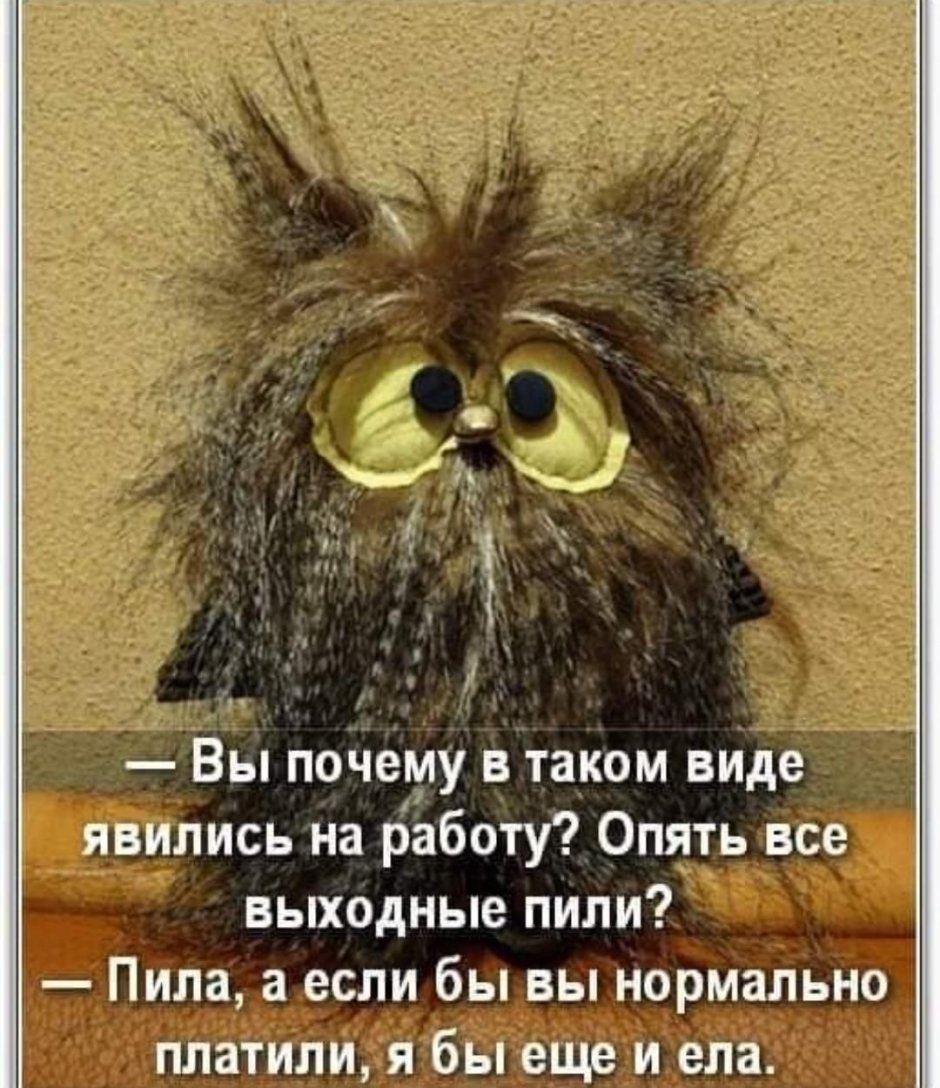 Лохматая с утра