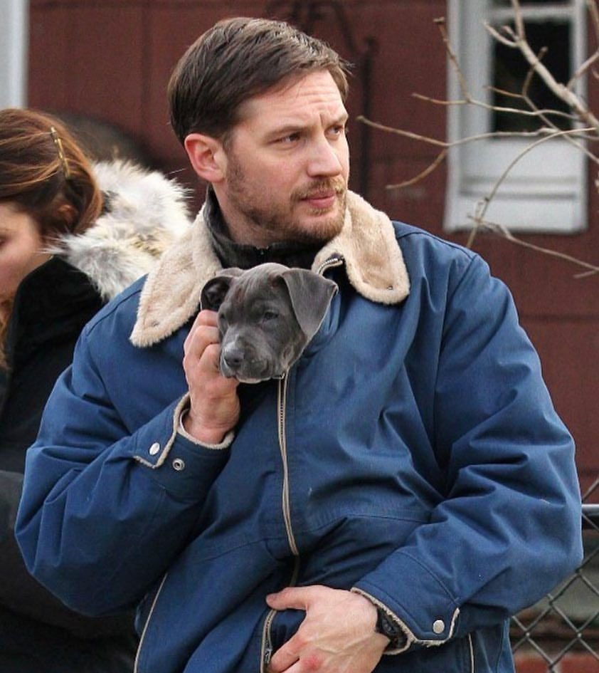 Фильм общак с Томом Харди