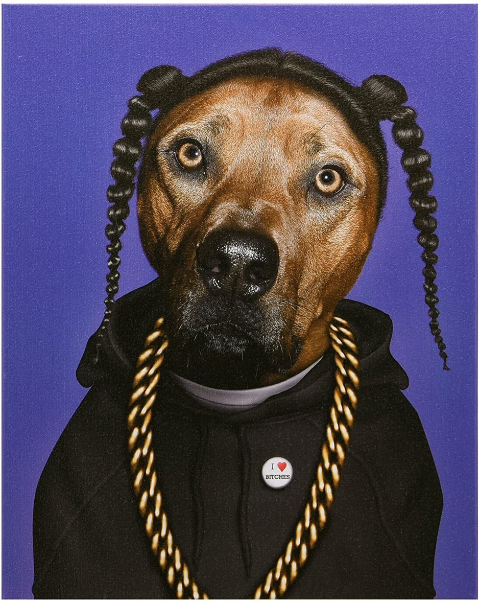 Собака репер