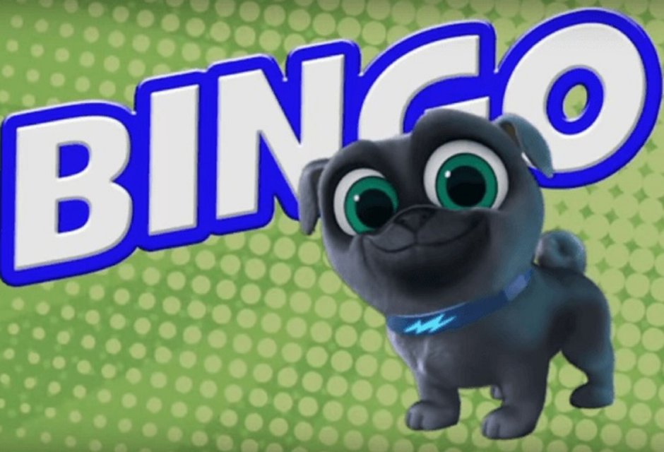 Бинго и роли