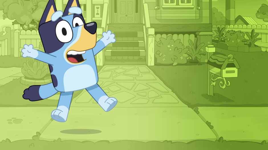 Джо Брумм Bluey