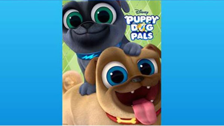 Мопсы Бинго и роли