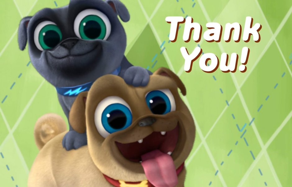 Сумки Бинго и Ролли