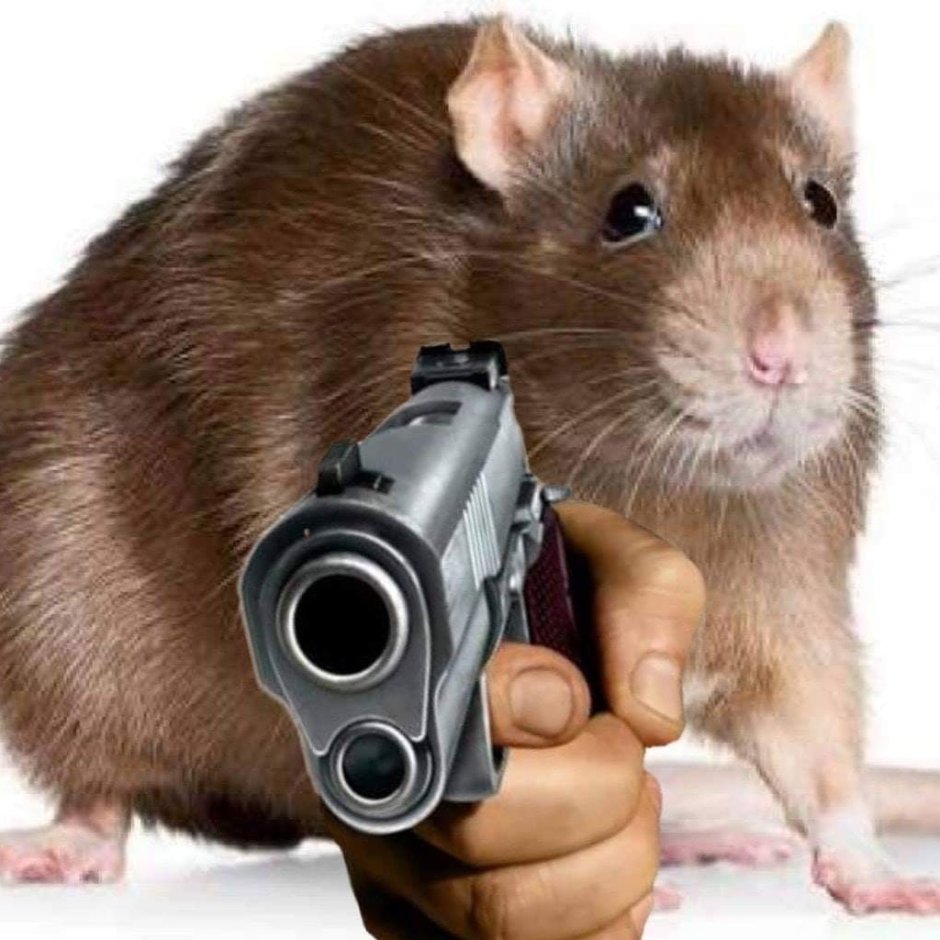 Мышка в норке спряталась