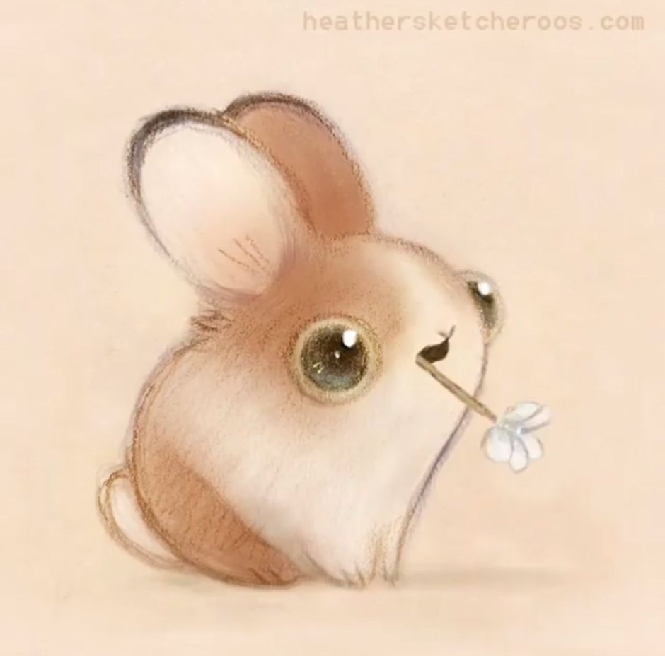 Крыски Эллен Ван Дилен