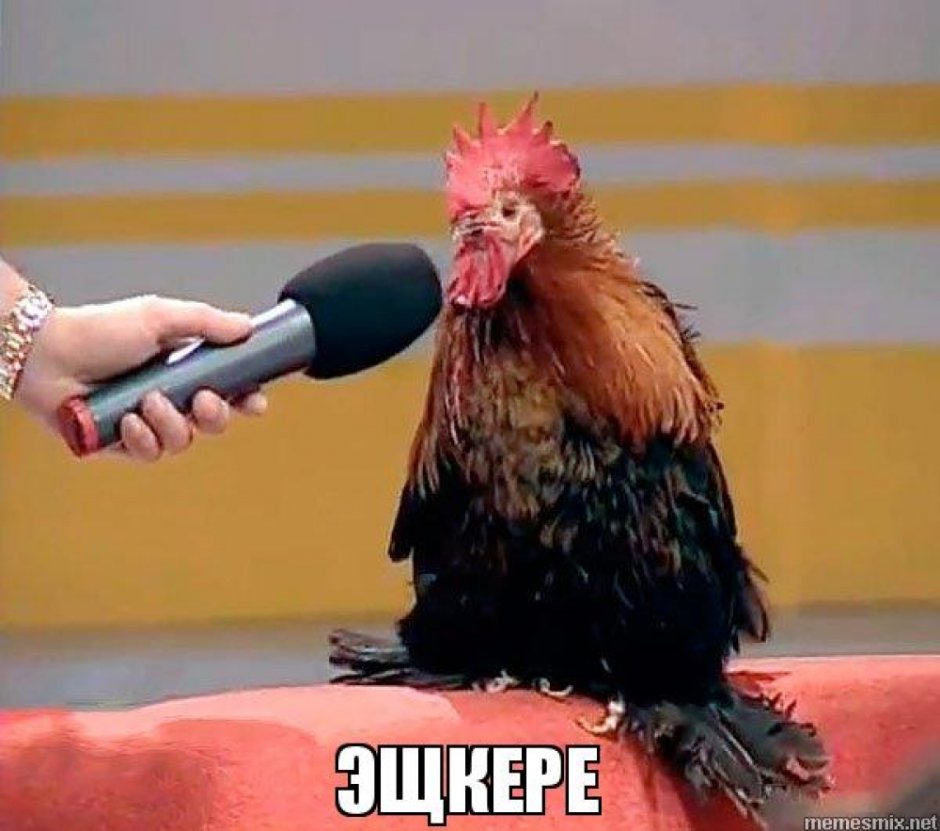 Петух с микрофоном Мем