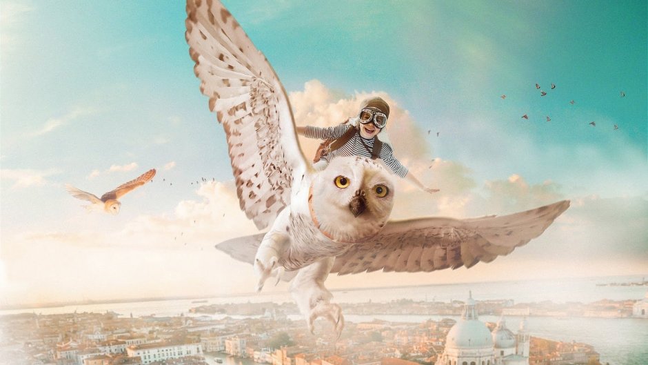 Орёл летает в небе