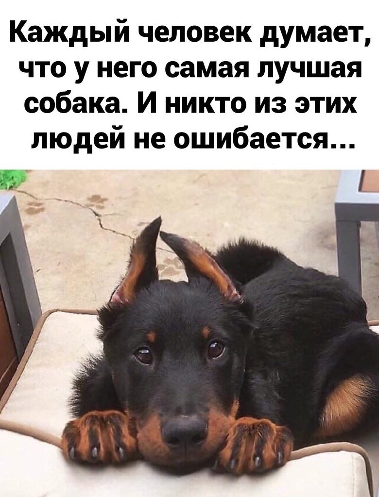 Осторожно злая хозяйка табличка