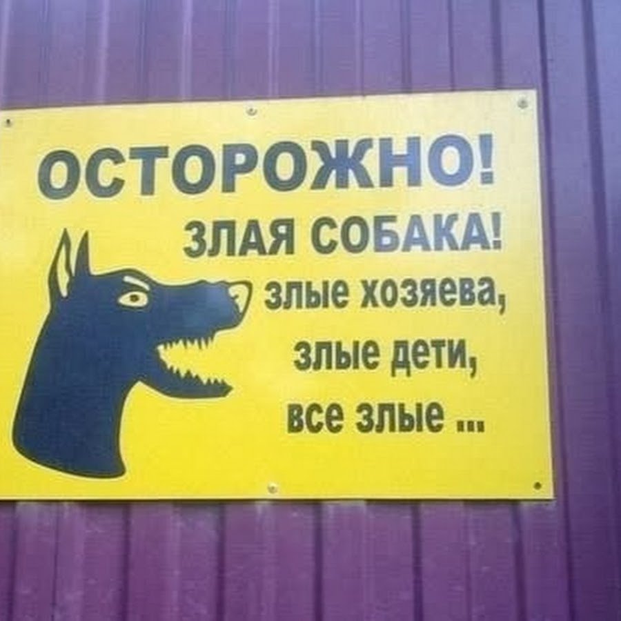 Осторожно злая собака а кот вообще дебил