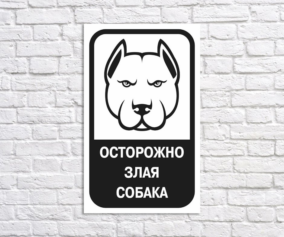 Злая чихуахуа