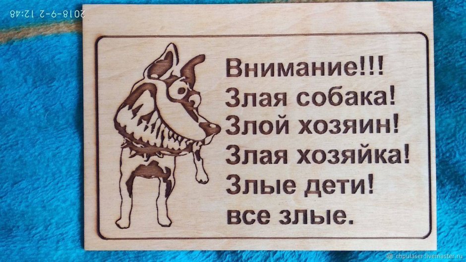 Собачка с выпученными глазами