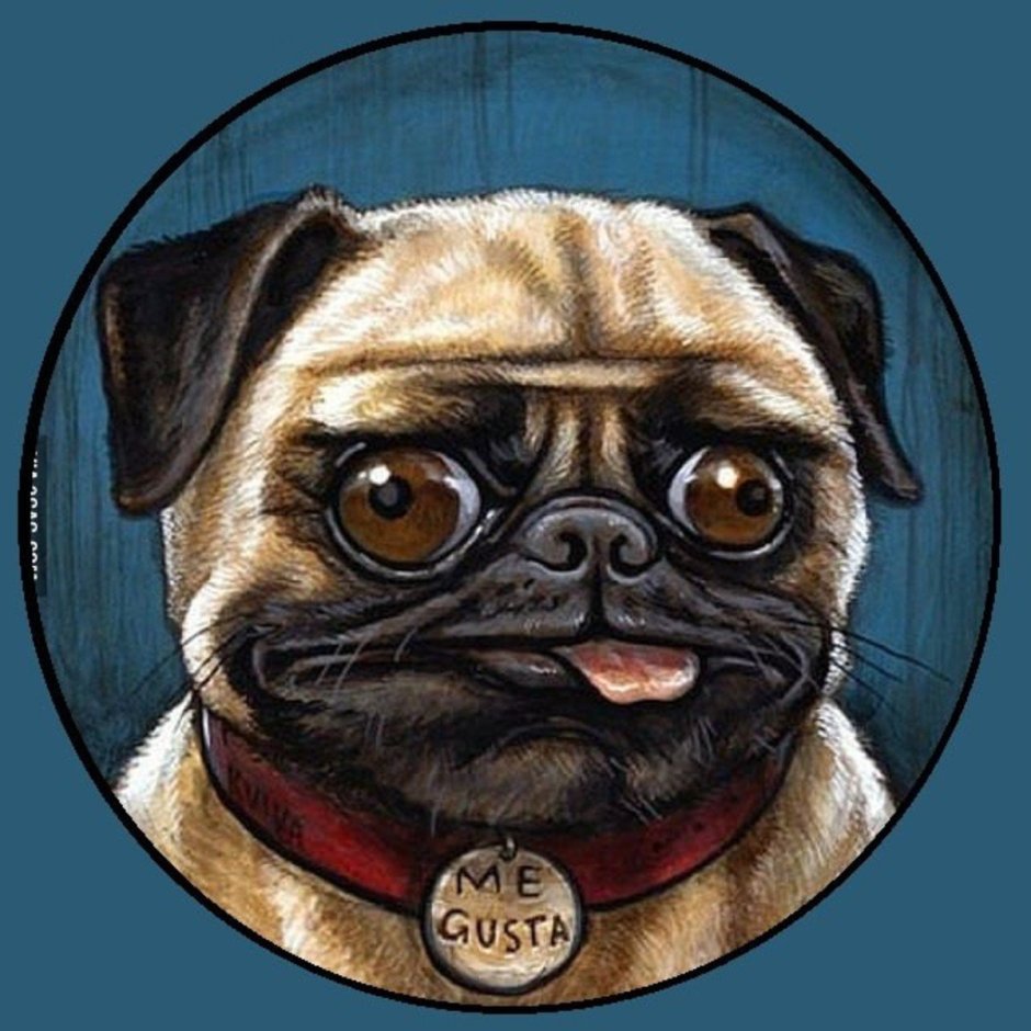 Табличка злая собака алабай