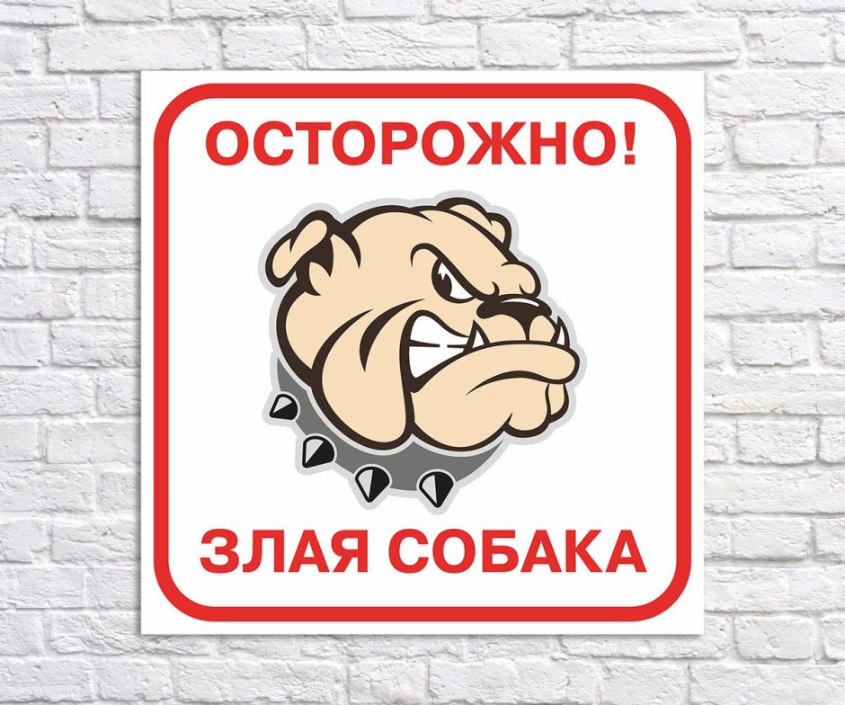 Беззубая собака