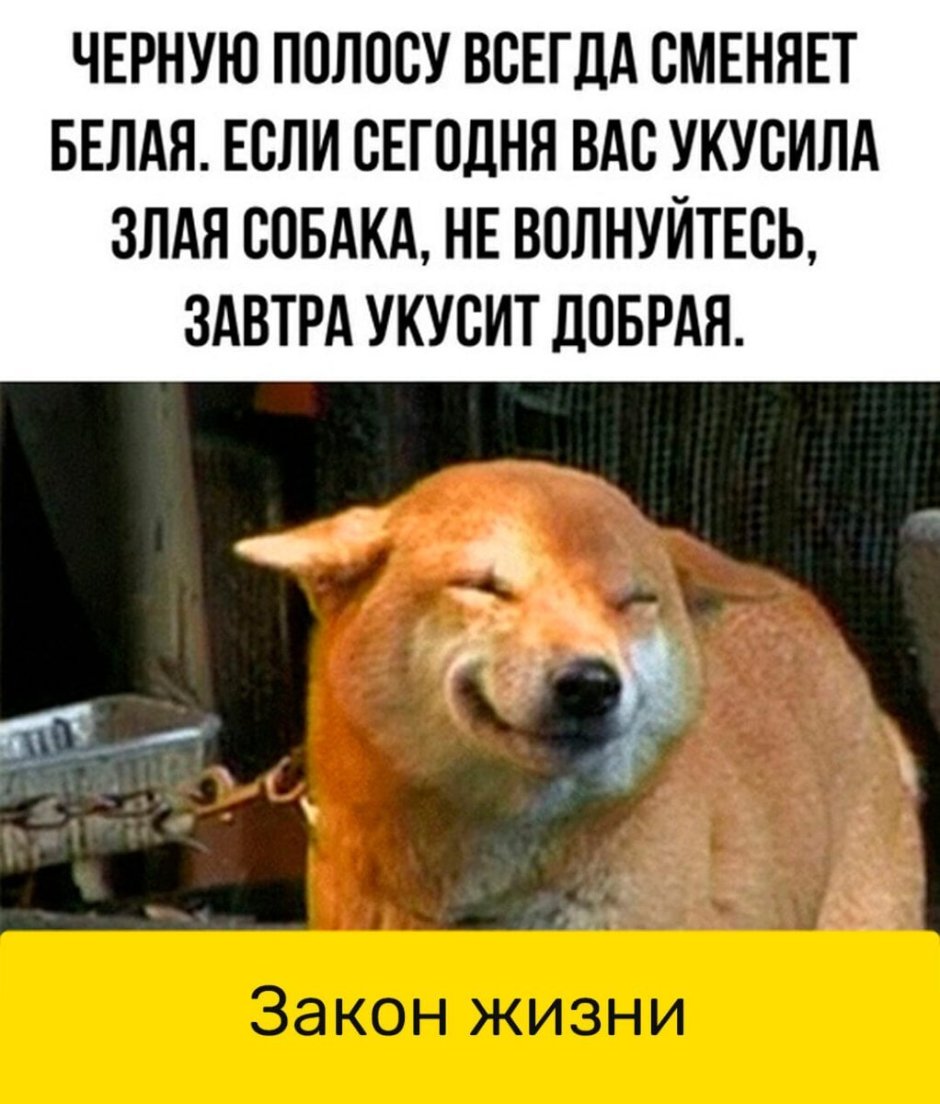 Ржач до слез с надписями