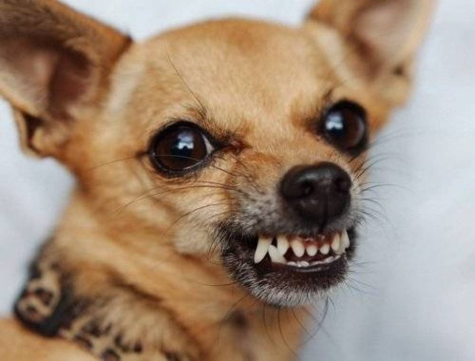 Предупреждающие таблички на забор