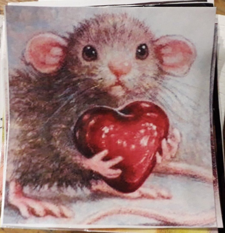 Парные тату том и Джерри