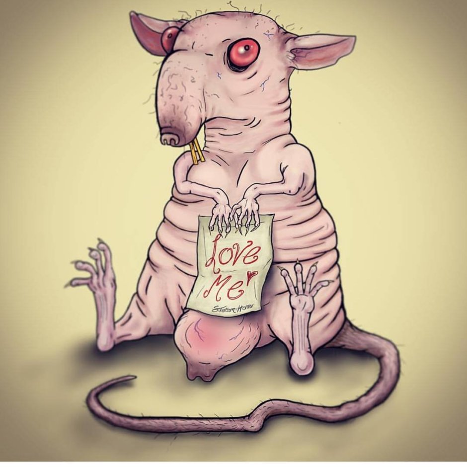 Крыски подружки