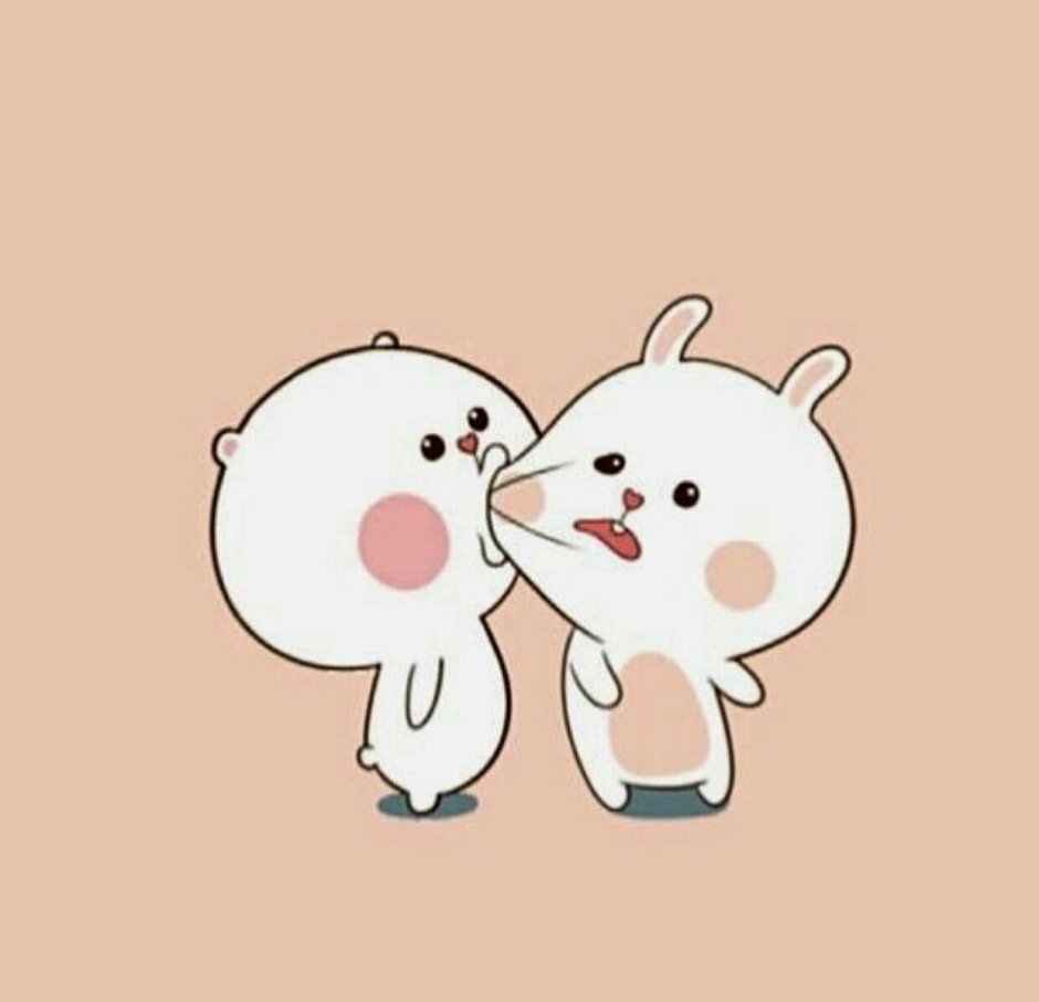 Крыса сфинкс