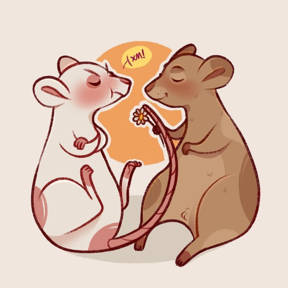 Парные обои с крысами