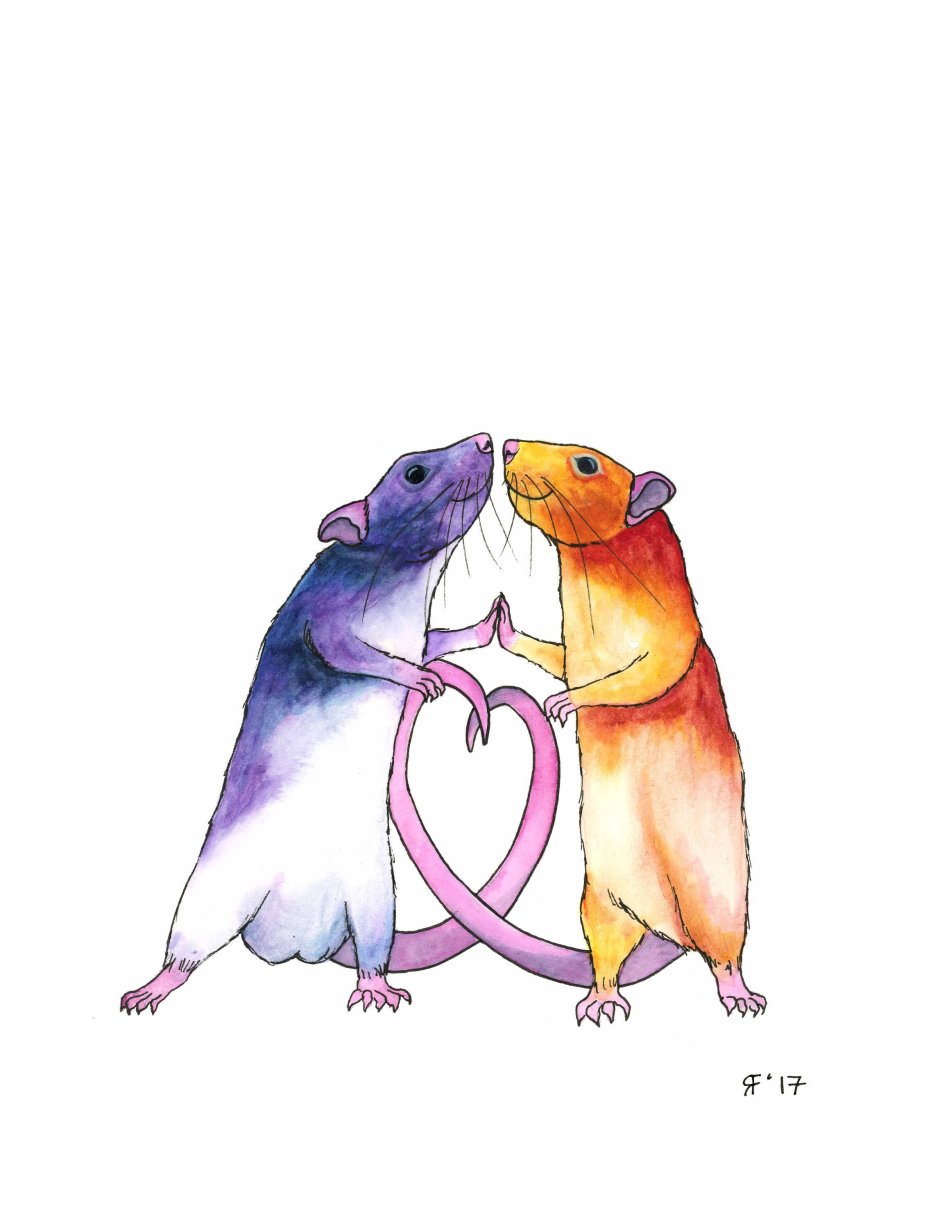 Мышь выглядывает