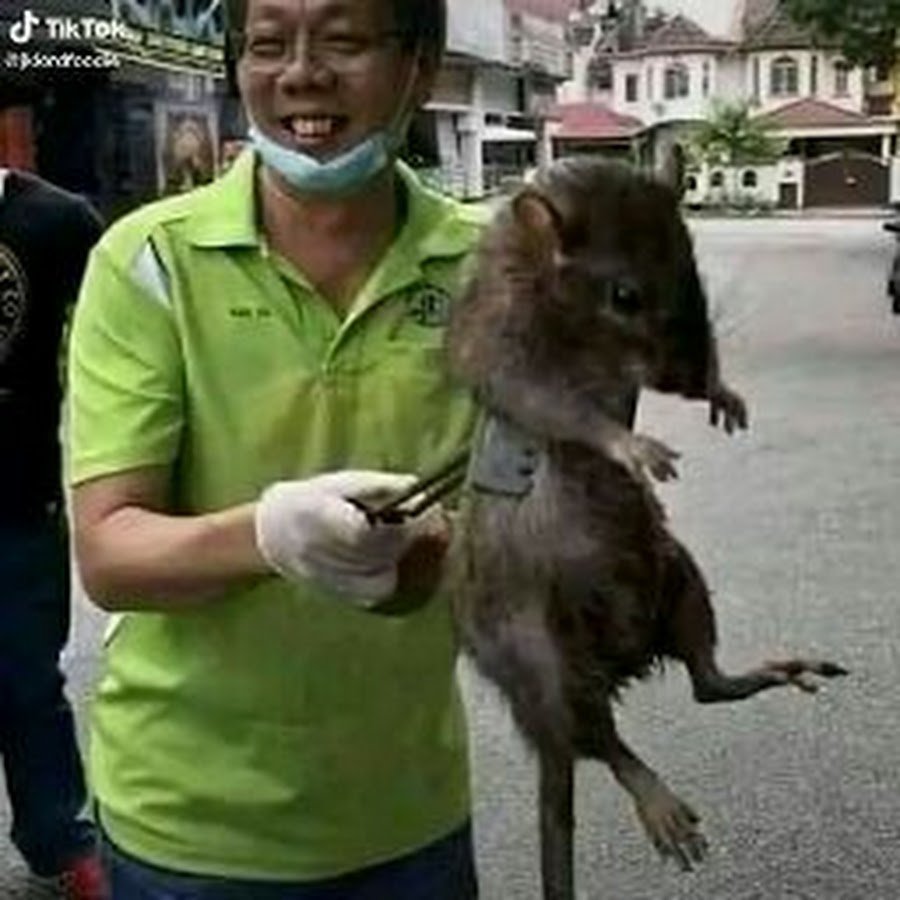 Курить Крис