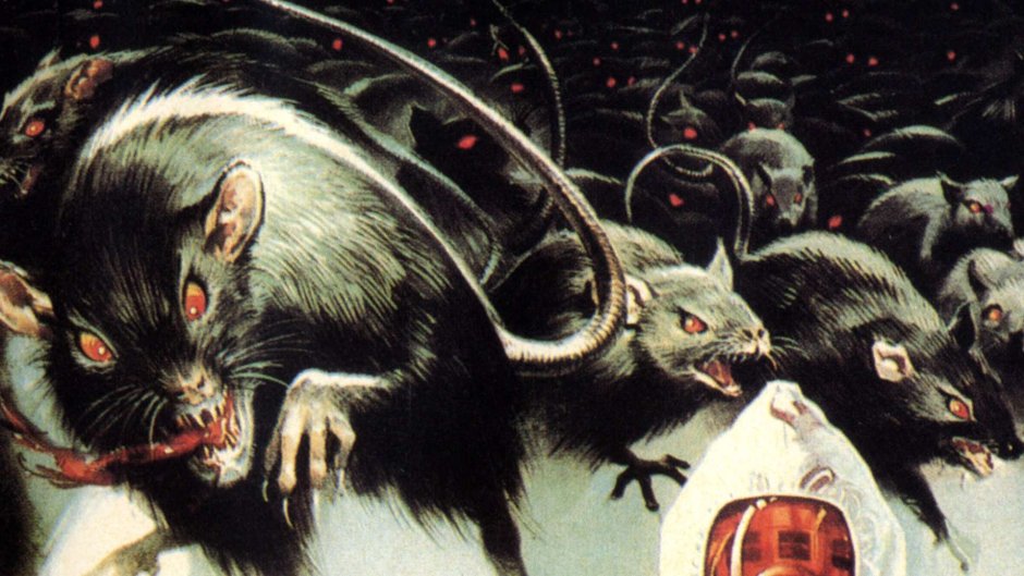 Вес декоративной крысы