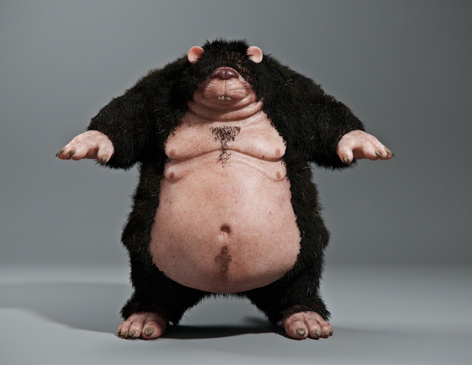 Крысиное царство