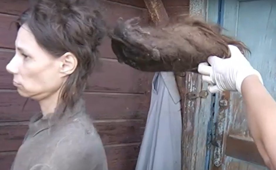 Крыса Дамбо толстая