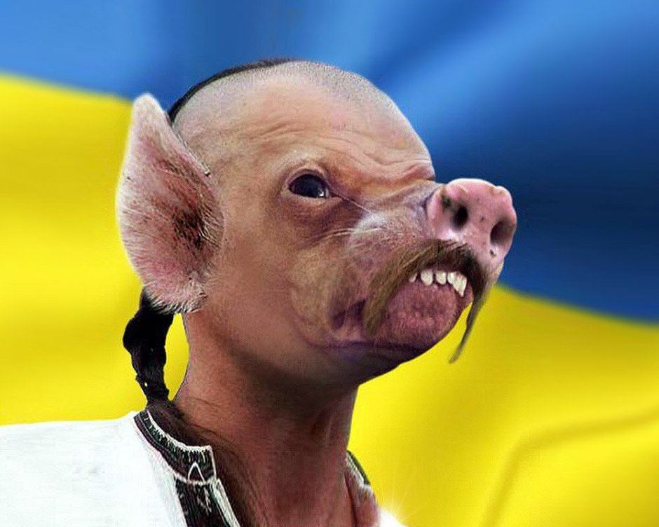 Хохол Мем