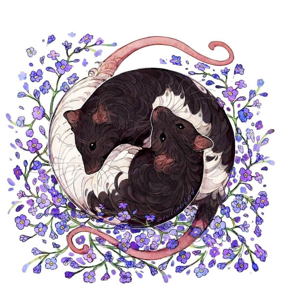 Крысы арт милые