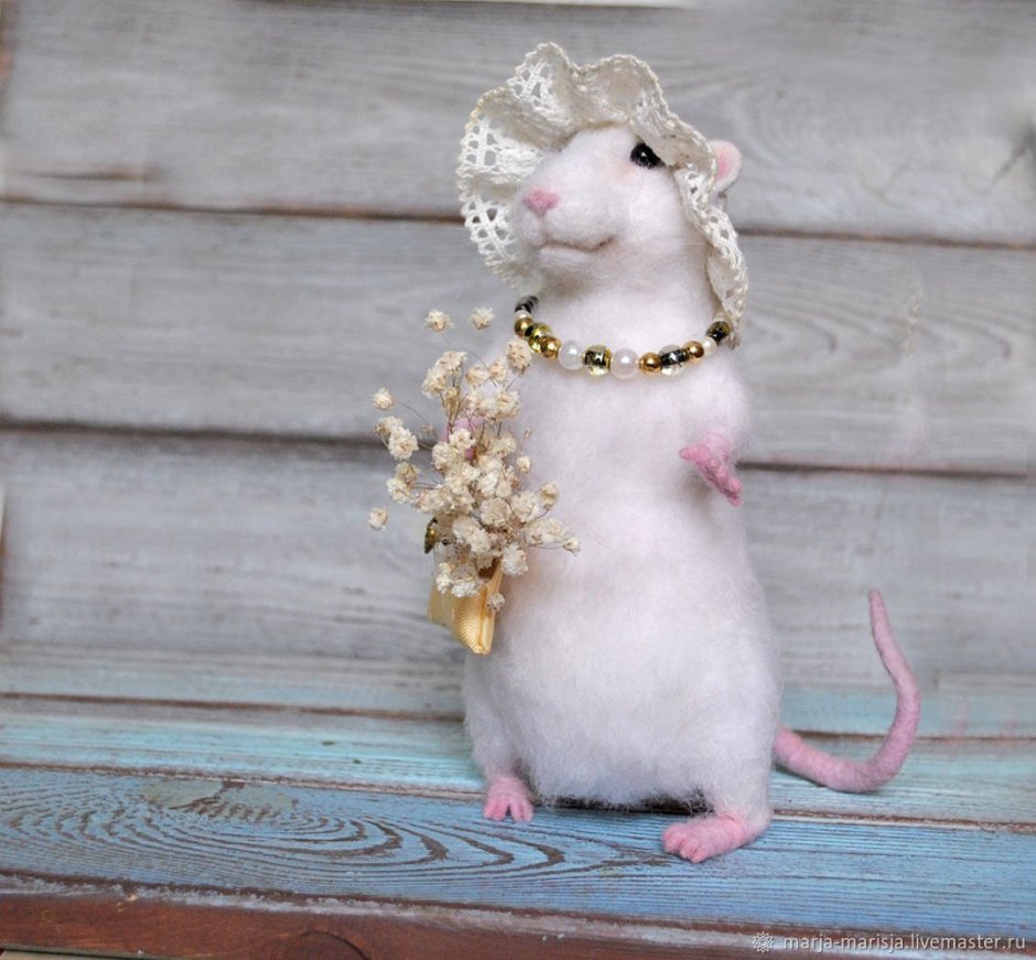 Крыса в платье