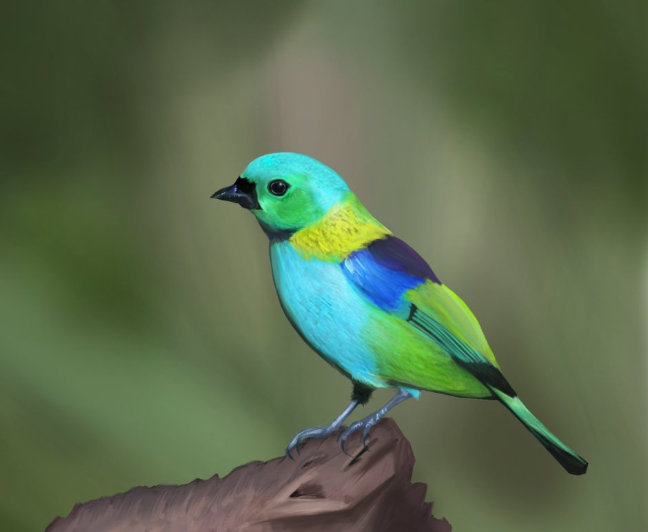 Маленькие пеночки