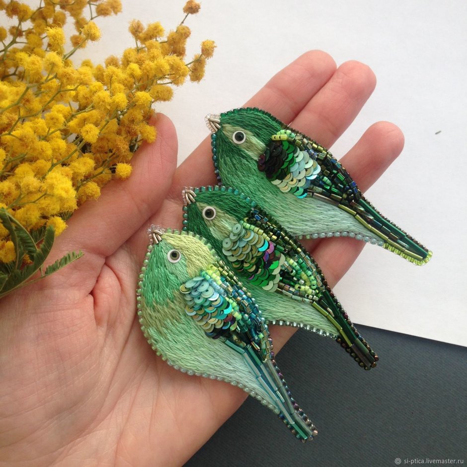 Колибри 1 класс окружающий мир