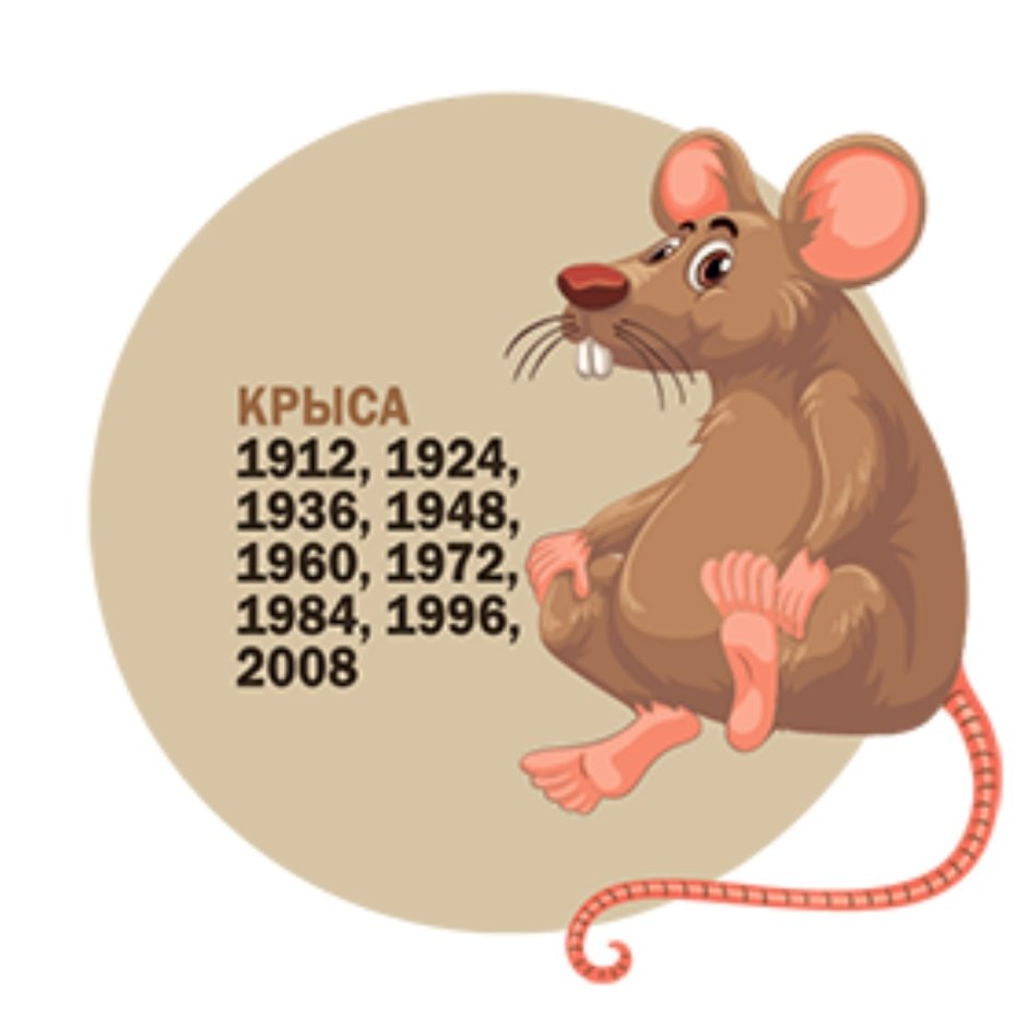 Крысы Эстетика