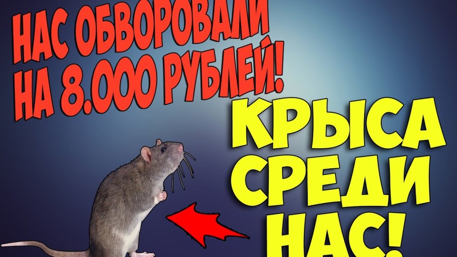 Год крысы гороскоп