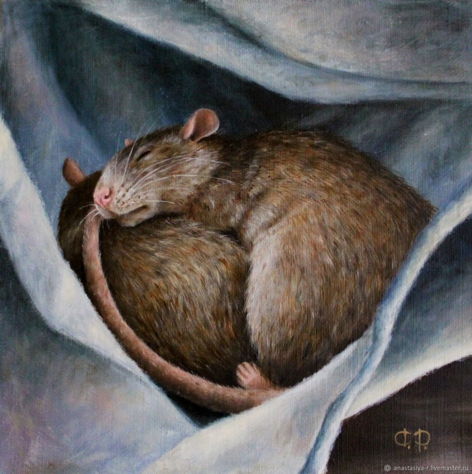 Крыса орнамент