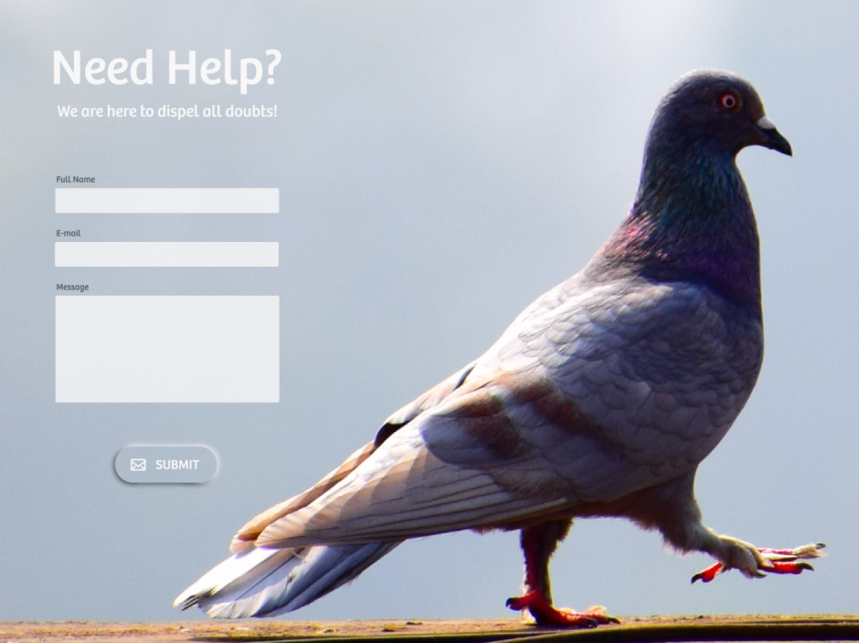 Богемская космоногая Волшебная Ласточка