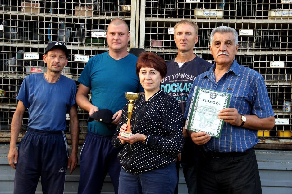 РОО клуб голубеводов любителей