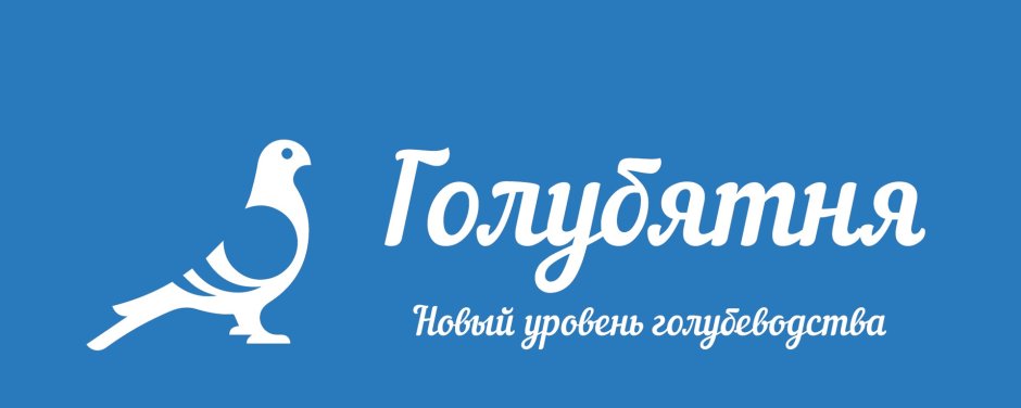 Спортивные голуби Арден