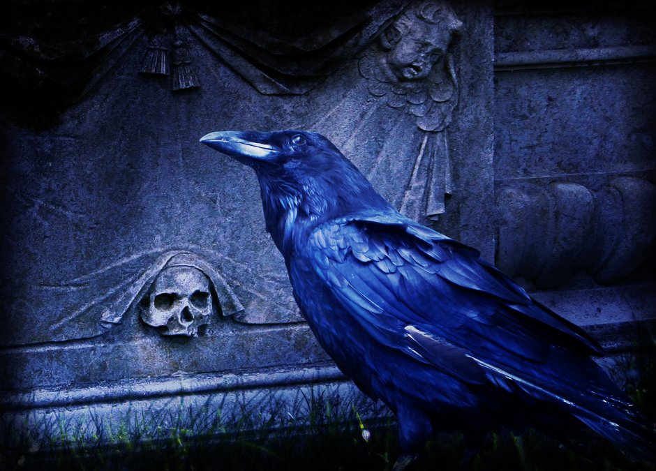 Game of Thrones three eyed Raven