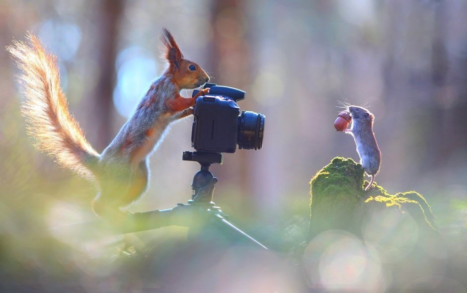 Вадим Трунов фотограф полевка